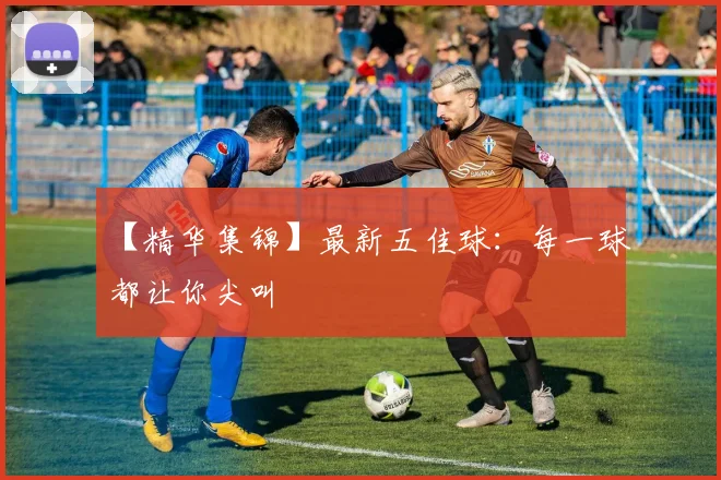 【精华集锦】最新五佳球:每一球都让你尖叫
