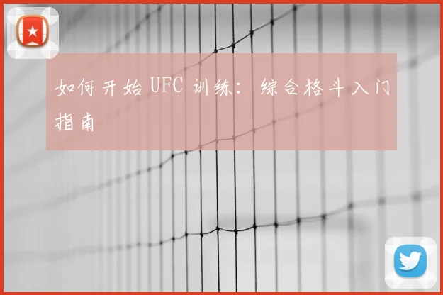 如何开始 UFC 训练:综合格斗入门指南