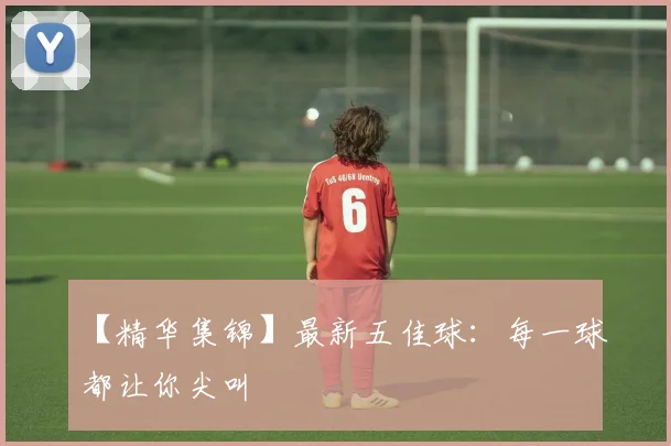 【精华集锦】最新五佳球:每一球都让你尖叫